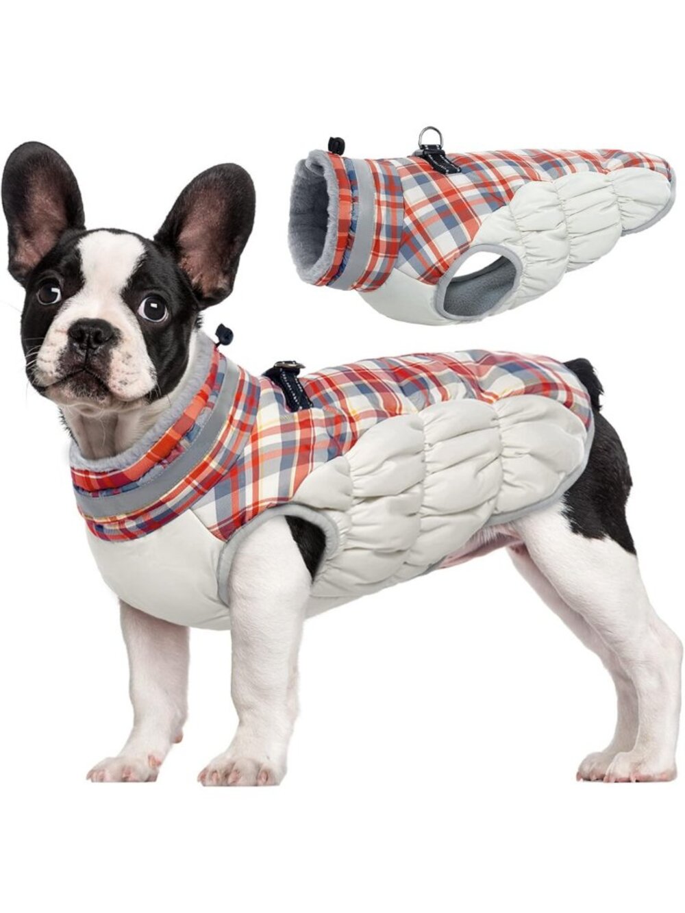Cozy Dog Jacket for Small Dogs - Warm, Waterproof, Harness-Integrated Design